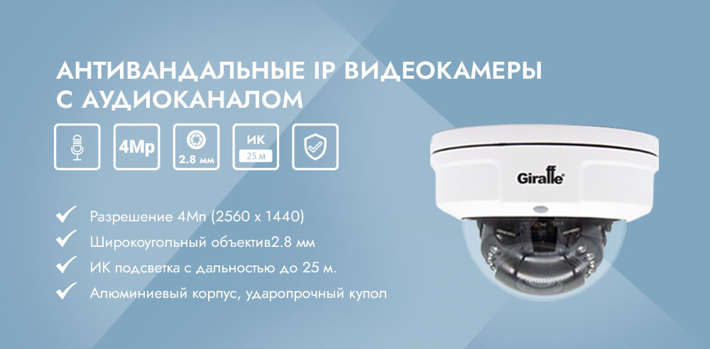 Антивандальные IP видеокамеры с Аудиоканалом